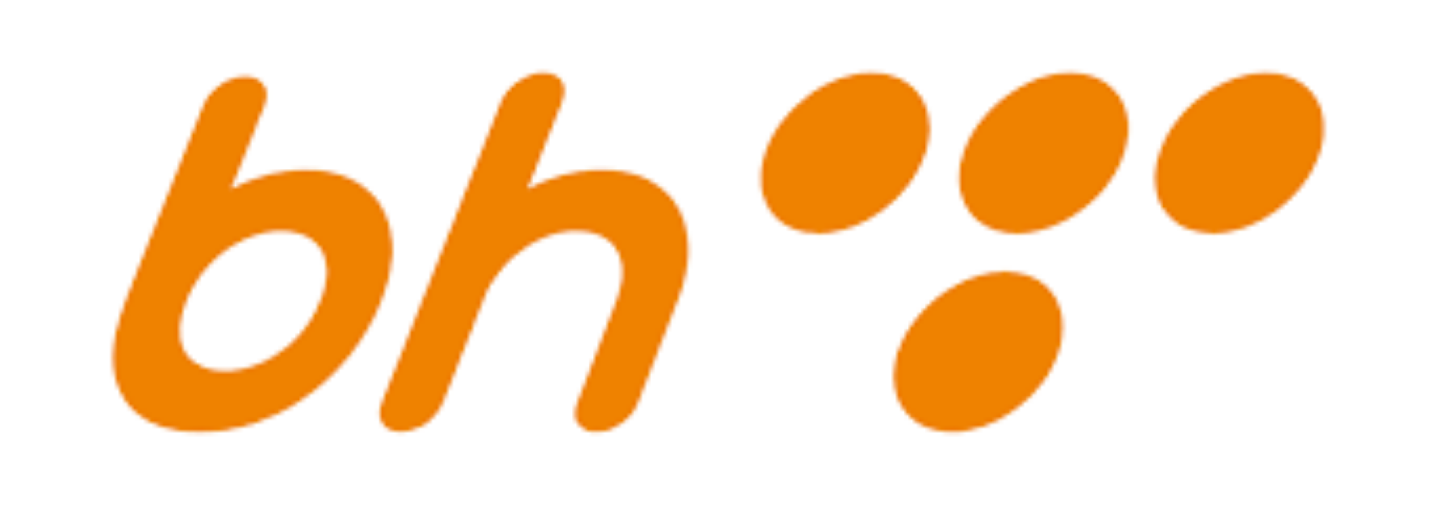 BH Telecom